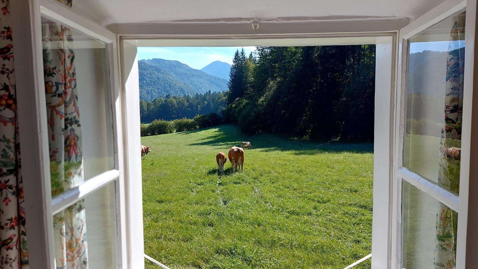 Jaegerhaus Villa Hintersee Kültér fotó